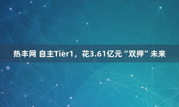 热丰网 自主Tier1，花3.61亿元“双押”未来