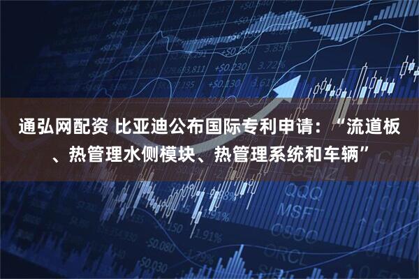 通弘网配资 比亚迪公布国际专利申请：“流道板、热管理水侧模块、热管理系统和车辆”